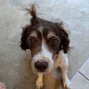 Meet your Posher, Denise